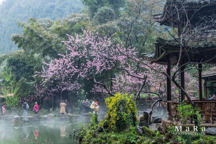 小猫钓鱼开船版最新版下载